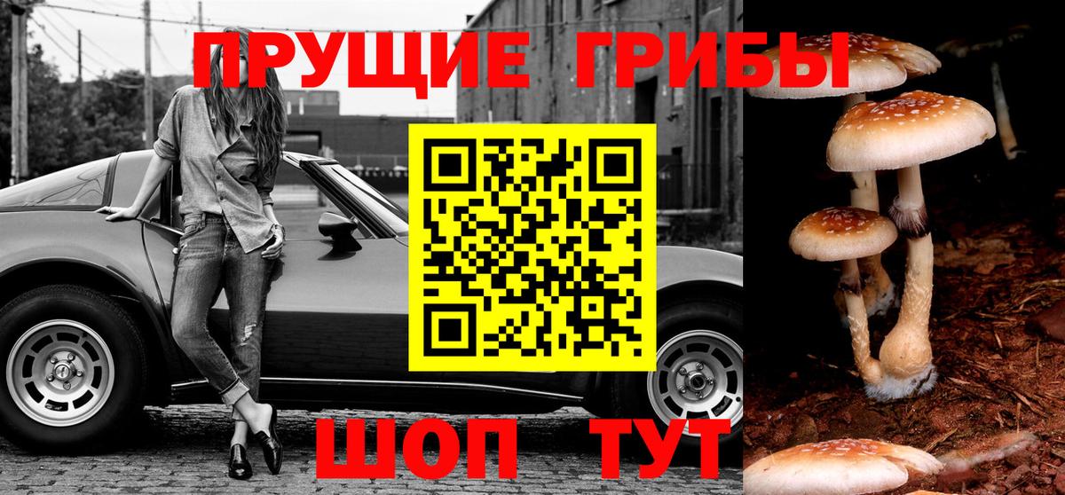 Галлюциногенные грибы Psilocybe Верхний Уфалей